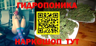 шишки Ливны